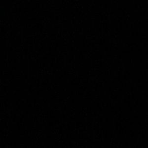 Meet your Posher, Sandy